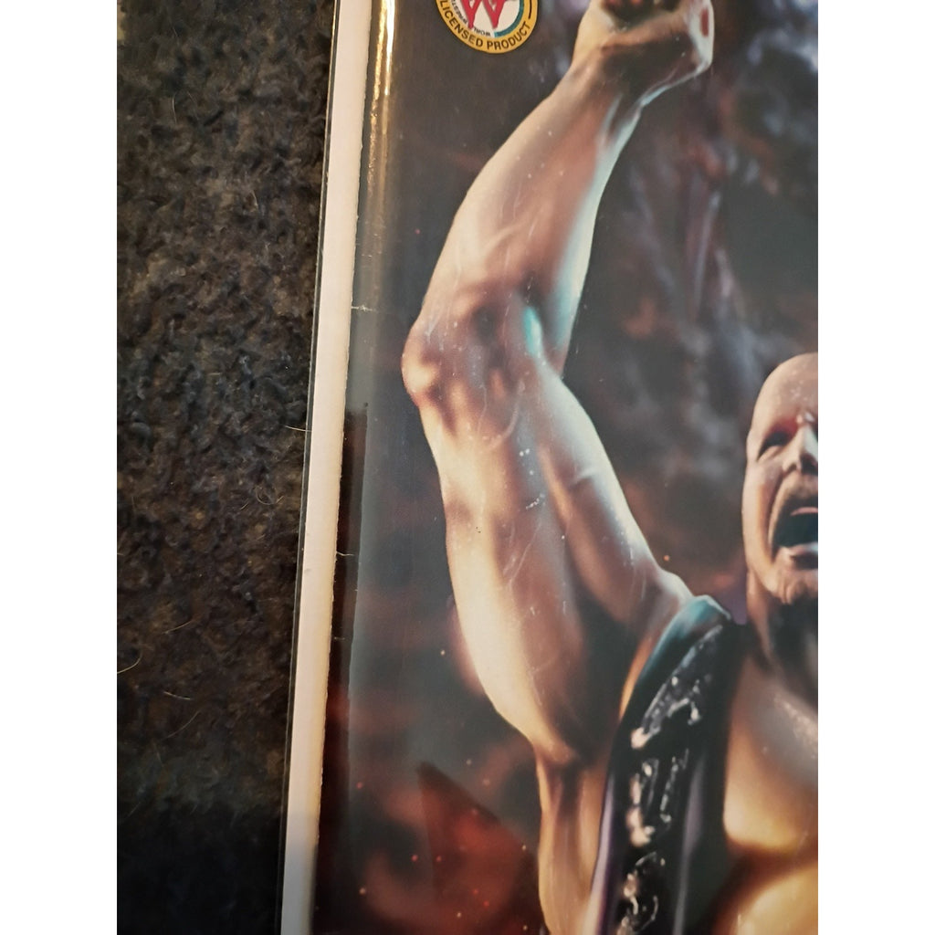 Chaos Comics WWF Stone Cold Steve Austin #2 And #4 Comic Books Lot Of 2 VF/NM
