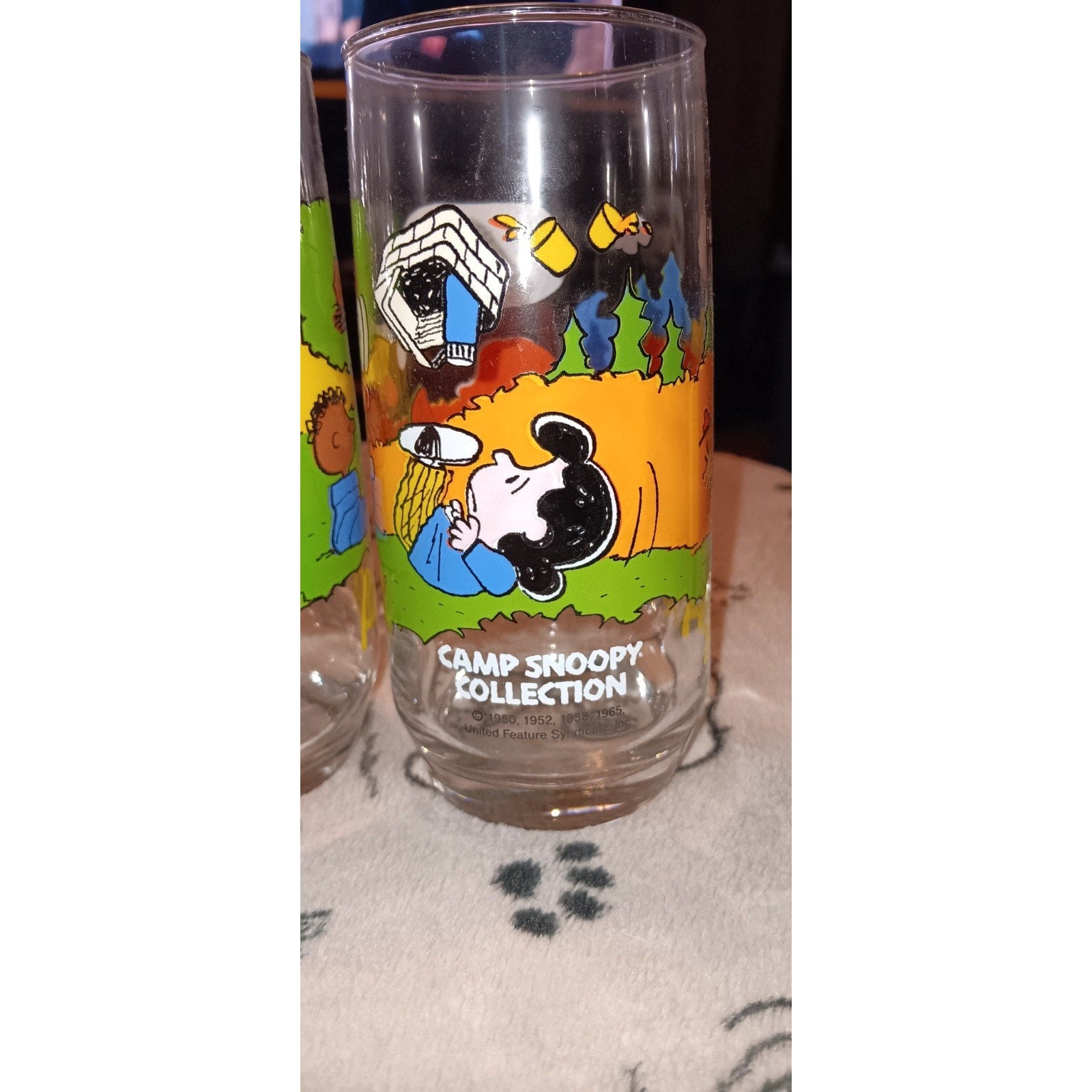 Complete Set Of (5) Vintage Camp Snoopy McDonalds Promo Glasses Nice 1983