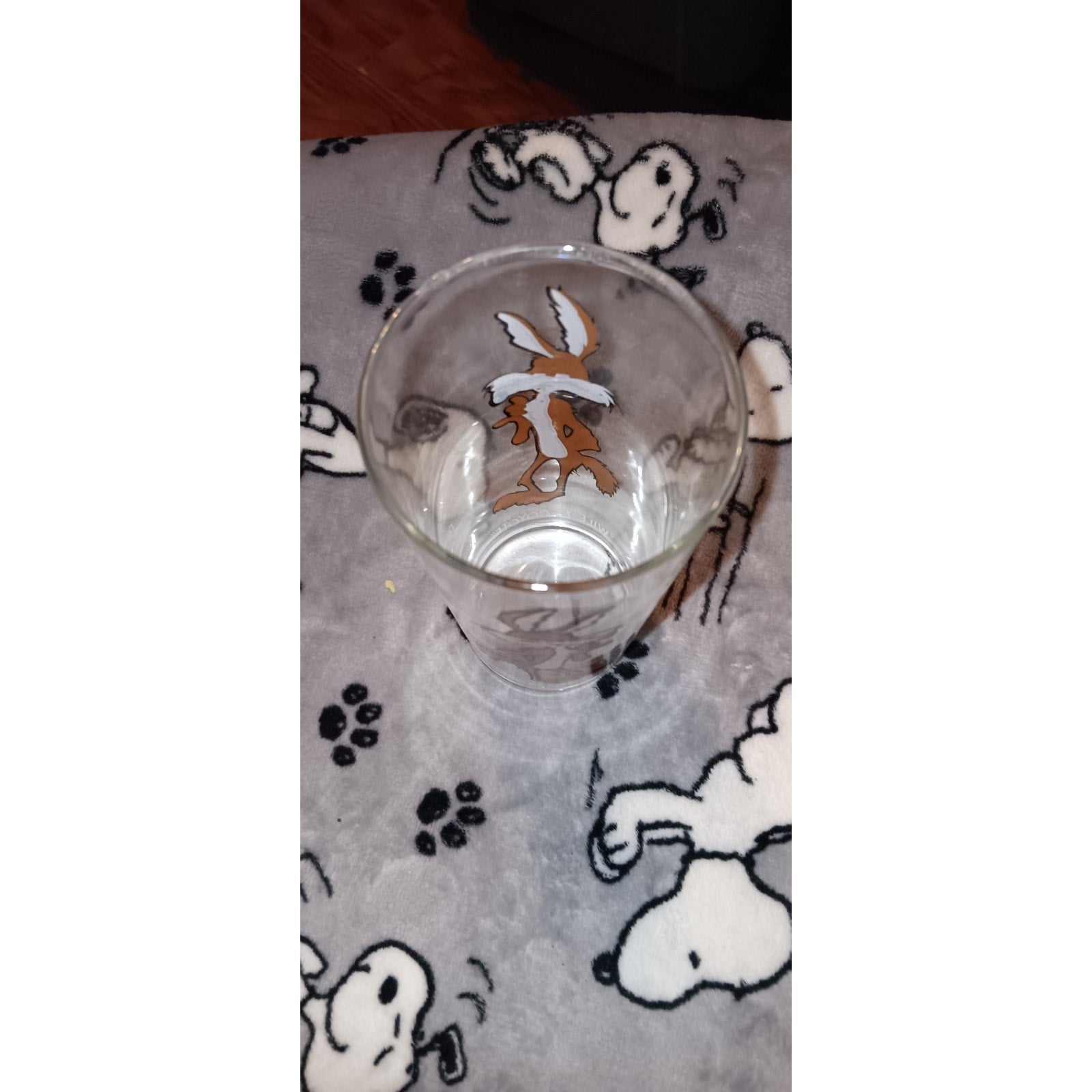 Warner Brothers Looney Tunes 1973 Pepsi Collector Series Glasses Wile E Coyote