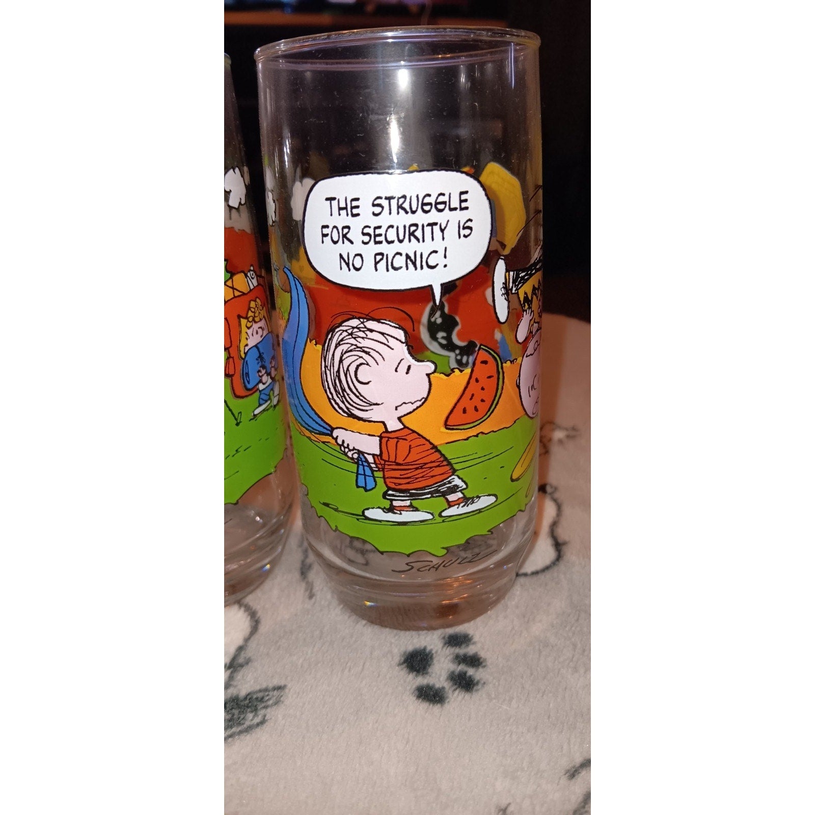Complete Set Of (5) Vintage Camp Snoopy McDonalds Promo Glasses Nice 1983