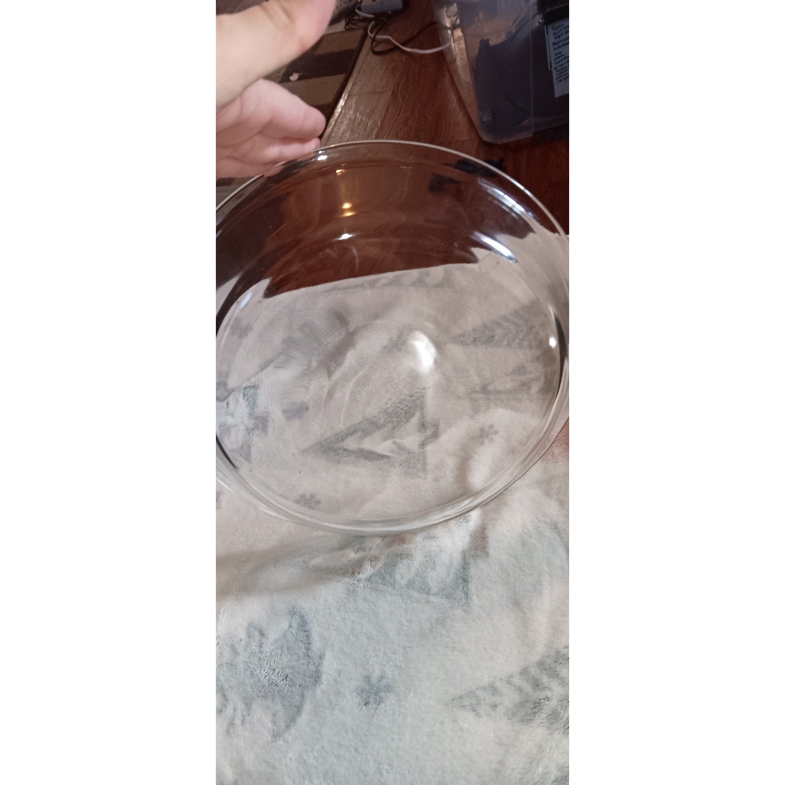 Vintage Pyrex 210 Clear Glass Pie Dish 10 Inch 25 cm Flat Rim Oven and Microwave