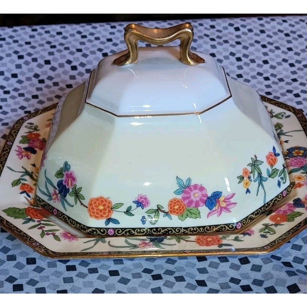 Johann Haviland Bavaria 8 Sided Covered Butter Dish