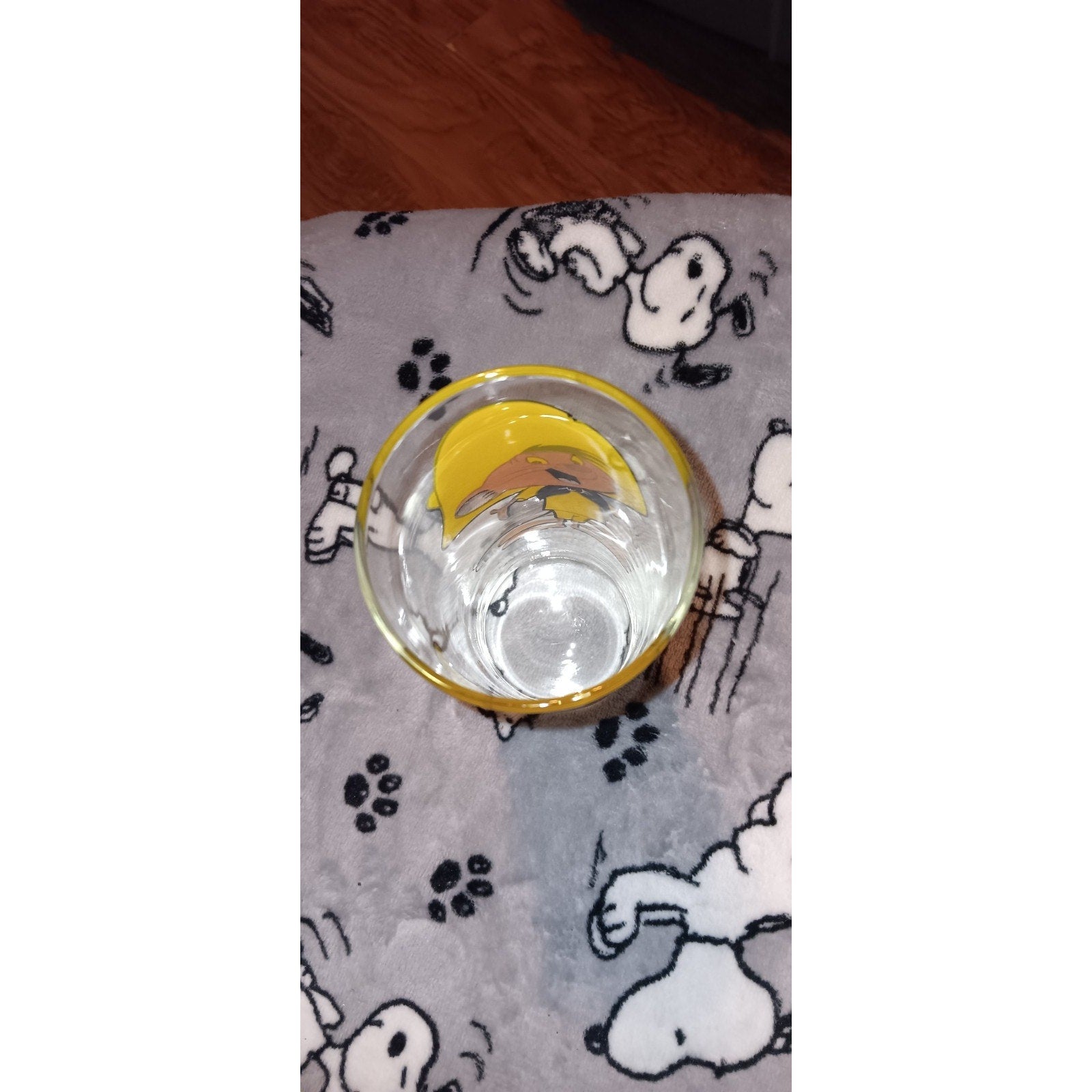 Pepsi Collector Series Glass 1973 Speedy Gonzales Glass