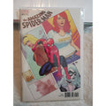AMAZING SPIDER-MAN #800 FRANK CHO VARIANT SPIDER-MAN 1 High Grade NM