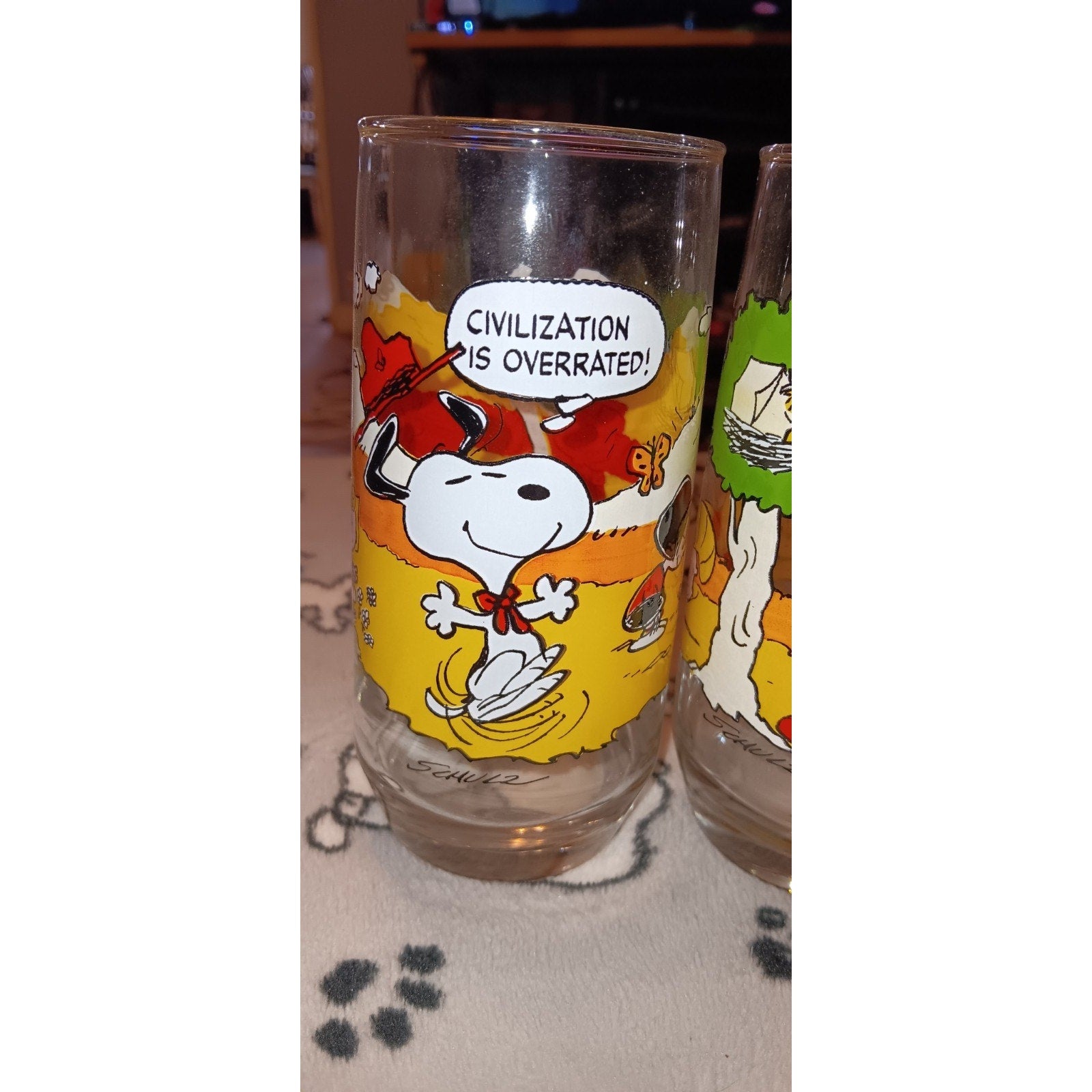 Complete Set Of (5) Vintage Camp Snoopy McDonalds Promo Glasses Nice 1983