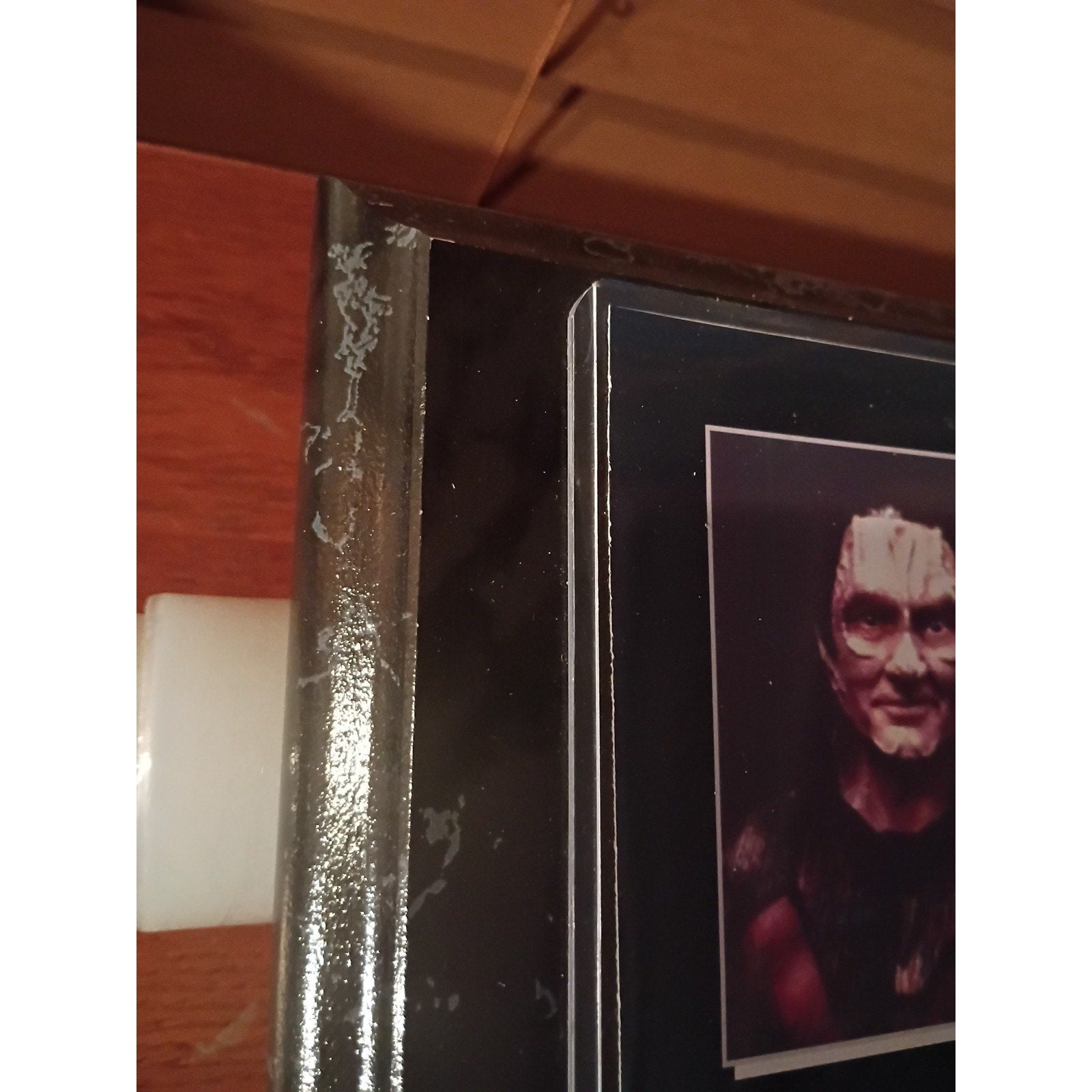 Star Trek Love Trek 2001 Autographed Plaque 5 Signatures In Person Signing 13x11